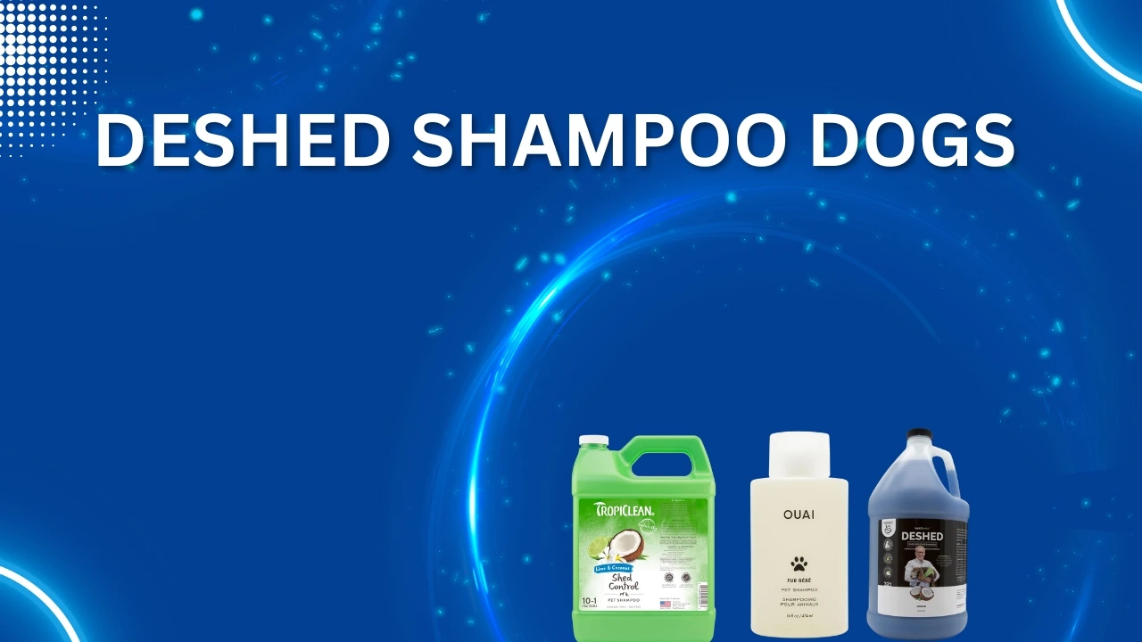 Deshed shampoo dogs
