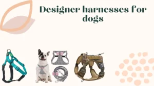 Designer harnesses for dogs