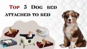 Dog bed attached to bed