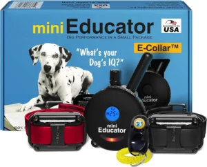 Educator ET-302 BK: The Ultimate Training Companion for Your Canine
