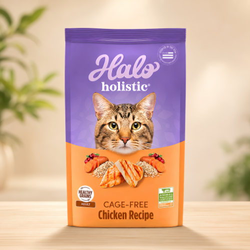 Halo Holistic cage-free chicken best cat food