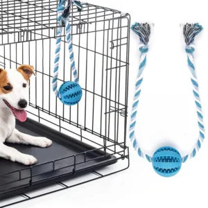 Interactive Dog Toys: Making Playtime More Engaging