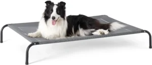 Introducing Beds for Outside Dogs: Bedsure Elevated Raised Cooling Cots Bed