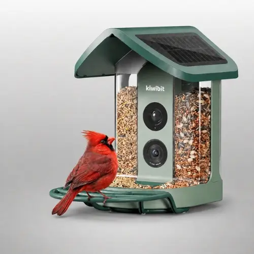 Kiwibit solar smart bird feeder with 4K camera in green