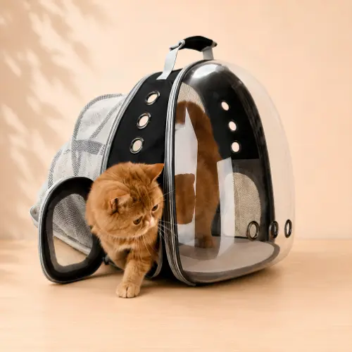 LOLLIMEOW expandable bubble cat backpack carrier