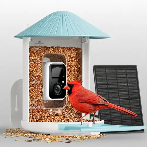 NETVUE by Birdfy smart bird feeder camera in blue