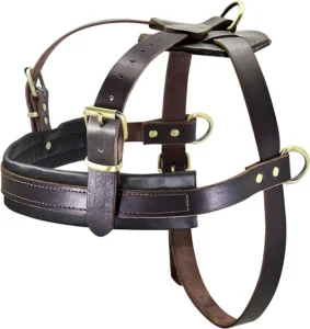 PET ARTIST Genuine Leather Dog Harness for Large Dogs