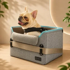 PETSFIT foldable small dog car seat with patented safety buckle