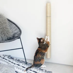Unleashing Fun and Comfort: Xympo 34" Wall Mounted Cat Scratcher Review