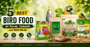 5 best bird food for parrots, cockatiels, and wild birds
