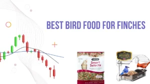 Best bird food for finches