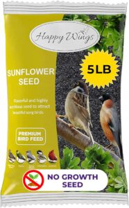 Black Oil Sunflower Bird Food