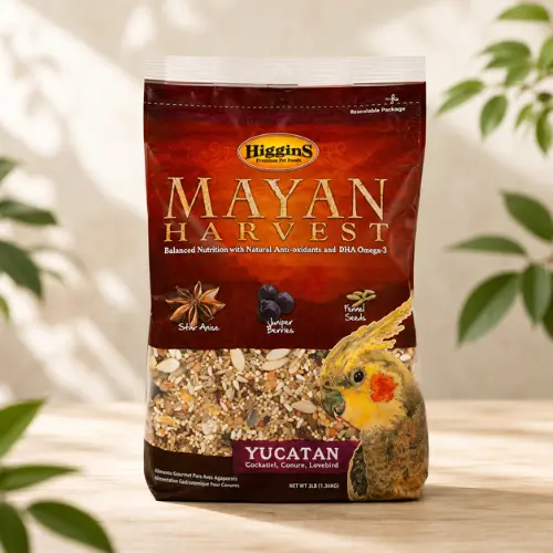 love bird food natural seed and fruit blend Higgins