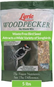 Lyric Woodpecker Wild Bird Seed