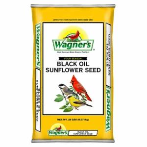 black oil sunflower bird seed 25 pound bag