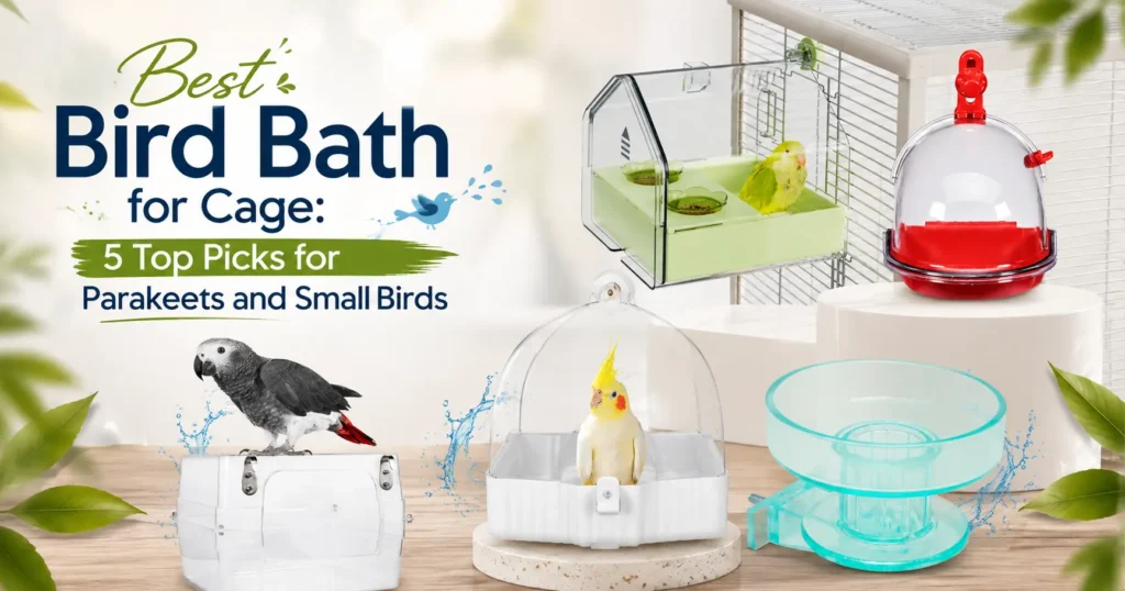 best bird bath for cage picks for parakeets