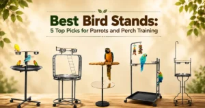 best bird stands for parrots and perch training
