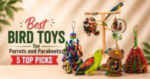 best bird toys for parrots and parakeets