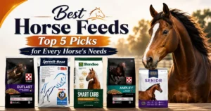 best horse feeds comparison of top-rated brands