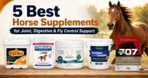 best horse supplements for joint digestive and fly control support