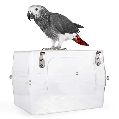 large bird bath for cage for African Grey and Amazon parrots