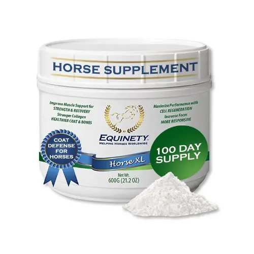 Equinety Horse XL amino acid powder supplement for horses
