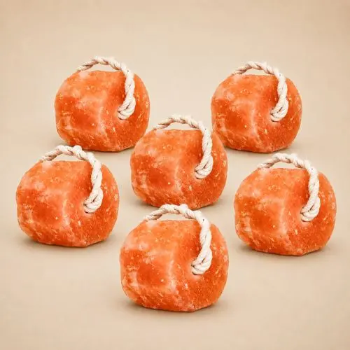 Glowyn Himalayan salt lick round block on rope for horses