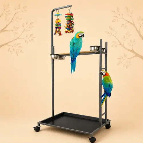 bird perches x-large stand for large parrots