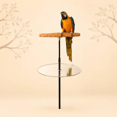 bird stand training perch with potty tray