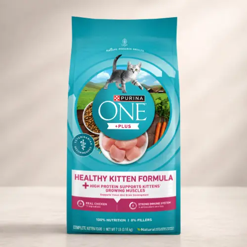 Purina ONE food cat kitten formula real chicken bag