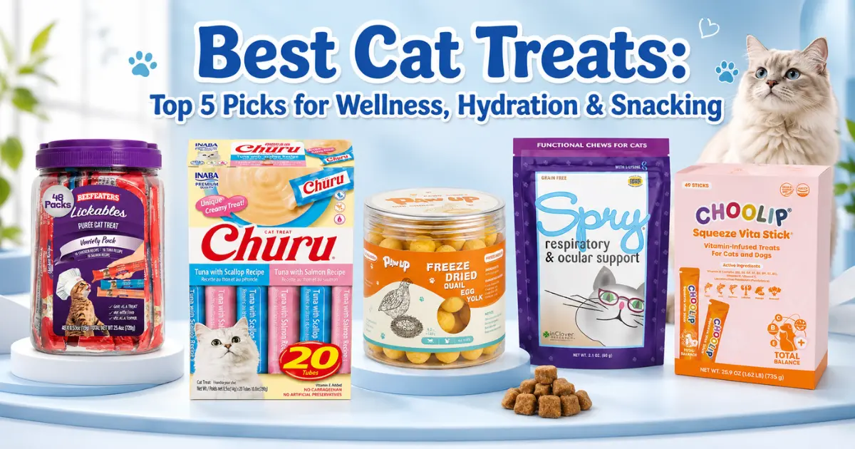 Best cat treats — top 5 picks compared