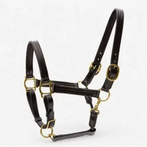 Jeffers Versailles triple stitched leather horse halter in Havana