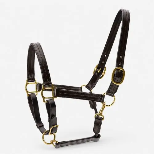 Jeffers Versailles triple stitched leather horse halter in Havana