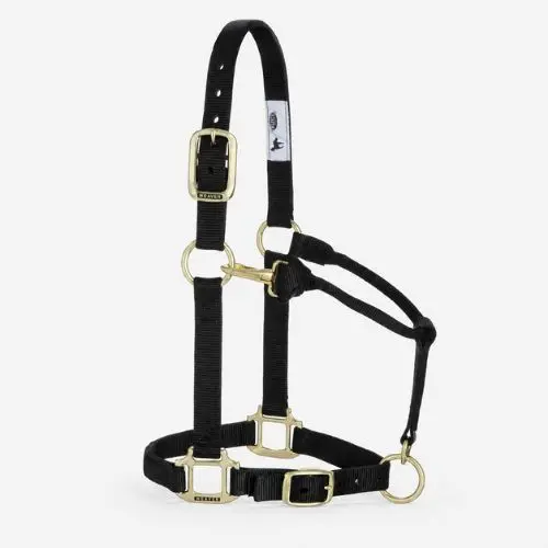 Weaver Equine nylon horse halter in black with padded liner