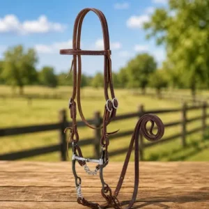 Weaver Leather working tack bridle in golden chestnut with correction mouth bit
